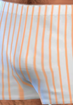 pantspattern_30_boxers01orng.png.c545fec106a5dc7f2c1cb204d7c356ae.png