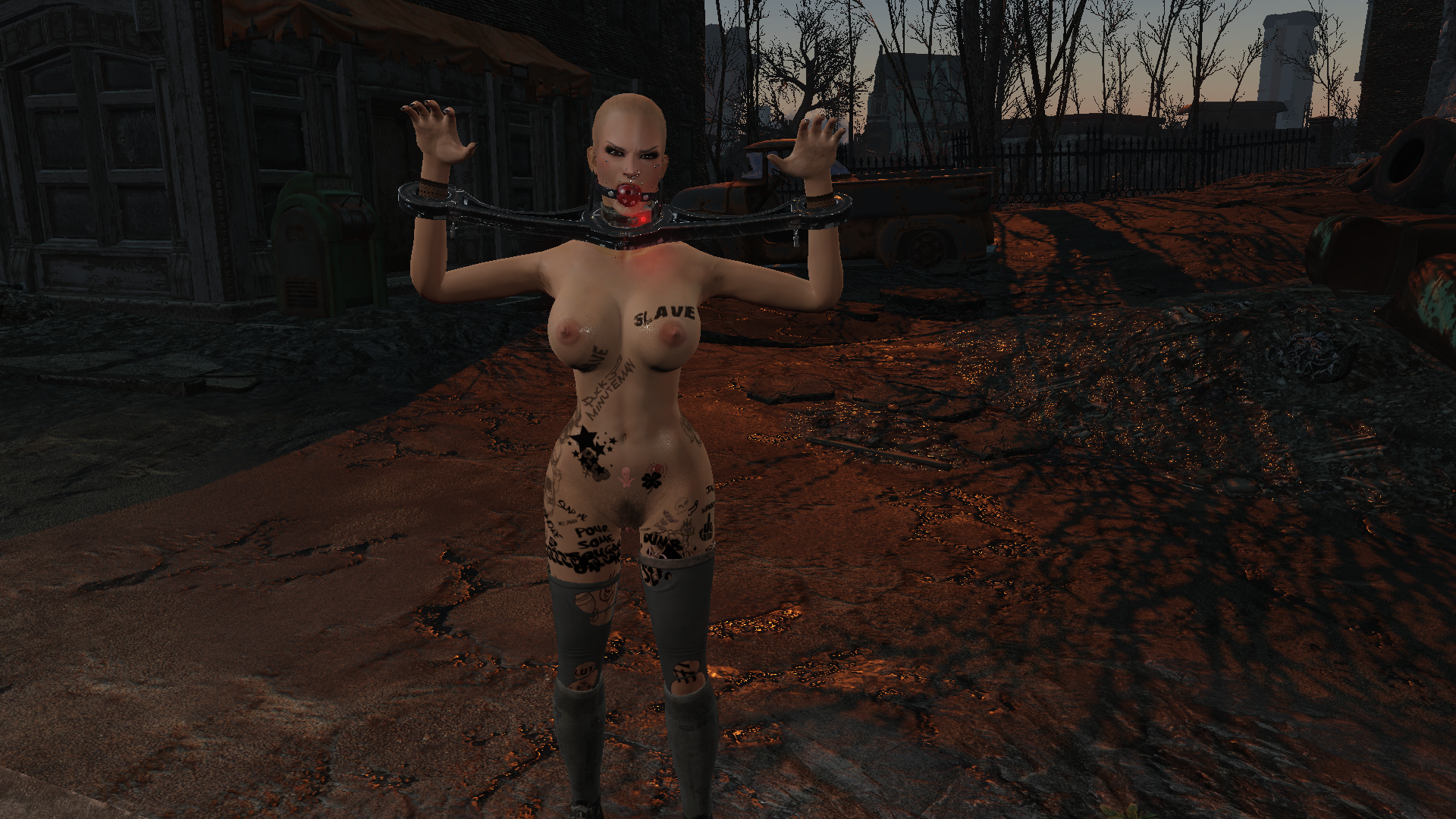 Photo141.png.d54332b8301c7ec778477c9c1902ab9a.png