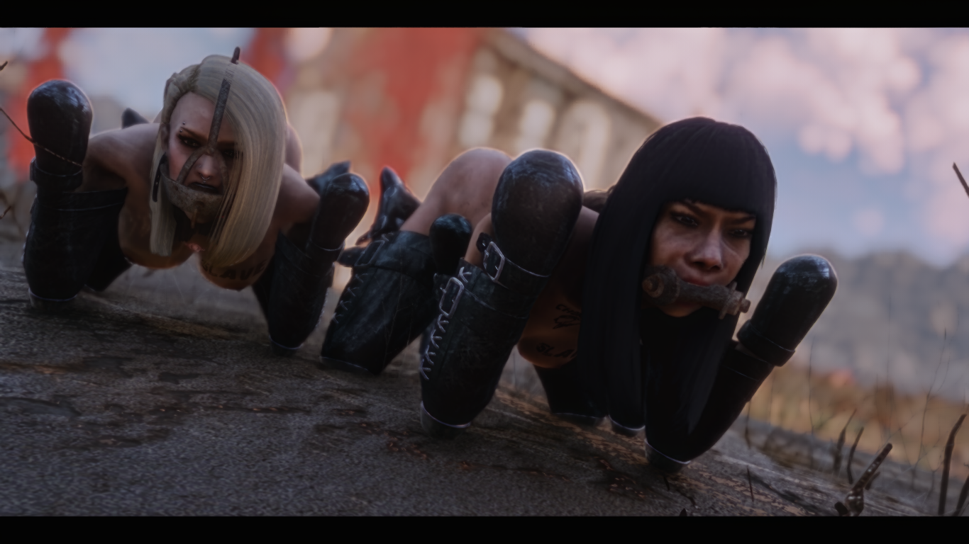 Photo84.png