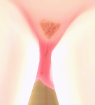 post-1055840-0-24238900-1499475047_thumb.png