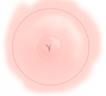 post-1055840-0-45830000-1505648809_thumb.png