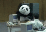 post-1230207-0-24056900-1472311825_thumb.gif
