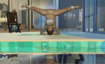 post-1341781-0-26683600-1489322002_thumb.gif