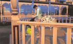 post-1341781-0-47030300-1494409076_thumb.gif