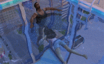 post-1341781-0-48215600-1498123031_thumb.gif