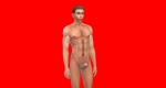 post-1440322-0-05789600-1495790500_thumb.png
