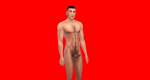 post-1440322-0-87473600-1496465868_thumb.png