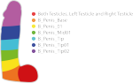 post-1440322-0-88475700-1509689066_thumb.png