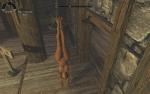 post-1454928-0-72038800-1508023426_thumb.jpg