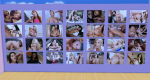 post-1471148-0-86492300-1507984987_thumb.png