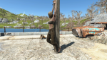 post-1591796-0-47896600-1504503628_thumb.png