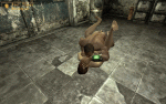 post-160974-0-28897400-1456235681_thumb.gif