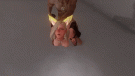post-2079-0-37936900-1462870778_thumb.gif