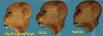 post-3205-0-09804200-1478566072_thumb.jpg