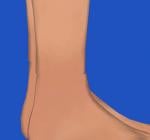 post-3205-0-72712300-1481424931_thumb.jpg