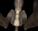 post-369869-0-29961800-1469062589_thumb.png