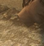 post-398004-0-66650800-1456724671_thumb.jpg