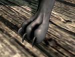 post-441330-0-70581100-1494110459_thumb.jpg