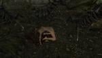 post-484102-0-77634200-1452364539_thumb.jpg