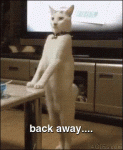 post-501843-0-32319500-1479866231_thumb.gif