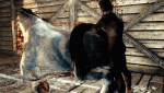 post-51187-0-01977500-1482209486_thumb.gif