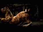 post-51187-0-04053000-1463625459_thumb.gif