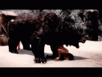 post-51187-0-12170400-1466152006_thumb.gif