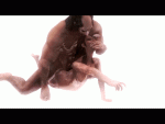 post-51187-0-12862100-1470868381_thumb.gif