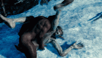 post-51187-0-22726400-1481846837_thumb.gif