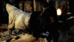 post-51187-0-23582400-1482815576_thumb.gif