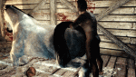post-51187-0-38429500-1482209455_thumb.gif