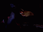 post-51187-0-41549500-1455217210_thumb.gif