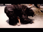 post-51187-0-41614900-1466151951_thumb.gif