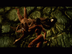 post-51187-0-46155000-1450853365_thumb.gif