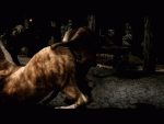 post-51187-0-53935600-1463625474_thumb.gif