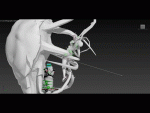 post-51187-0-57313900-1472883009_thumb.gif