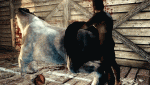 post-51187-0-69870400-1482209470_thumb.gif