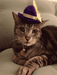 post-51187-0-95667700-1460624603_thumb.gif