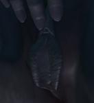 post-543180-0-93083000-1508798664_thumb.jpg