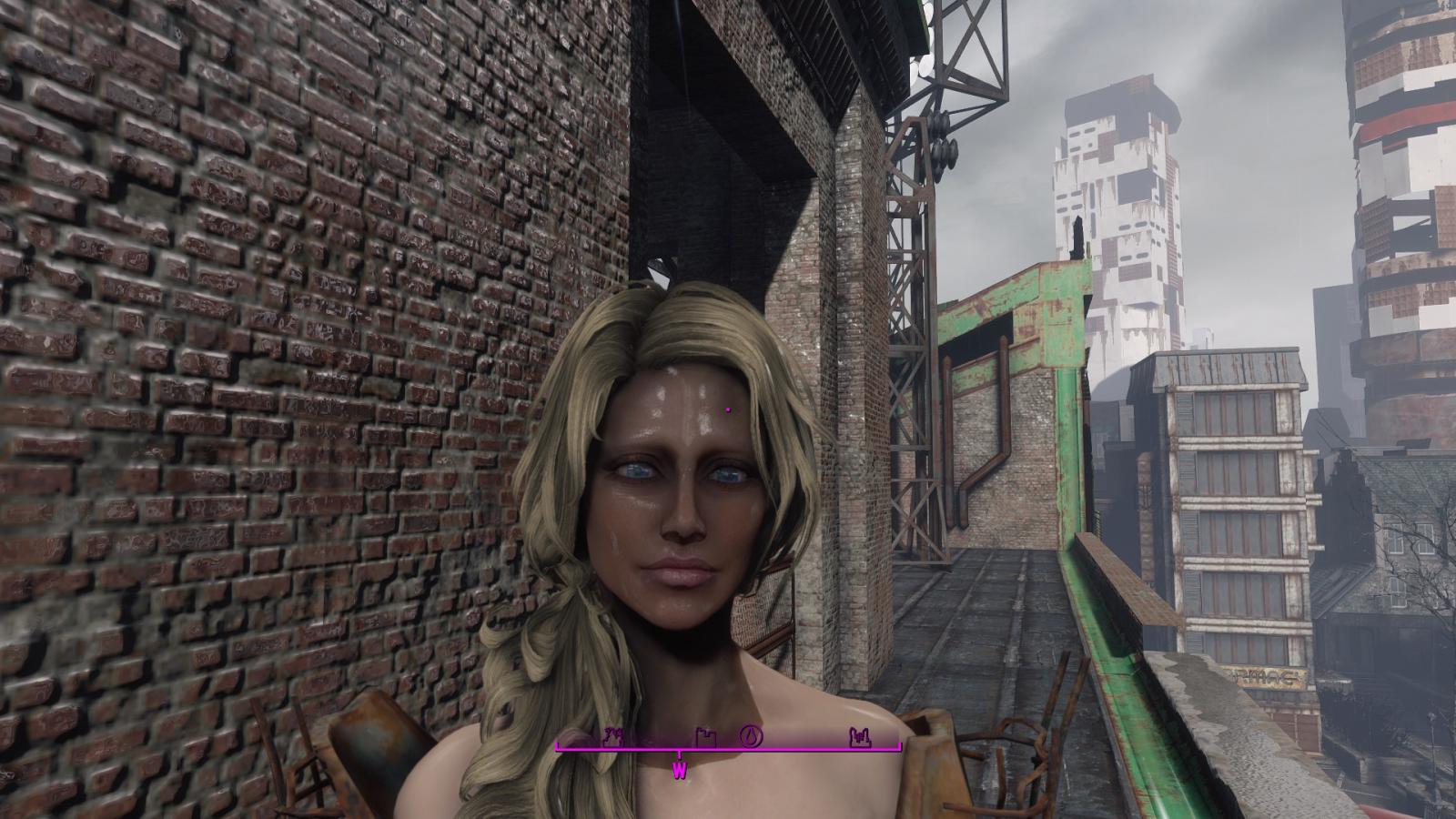 Fallout 4 Dark Face Bug Fix