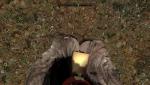 post-729461-0-02468600-1456624099_thumb.jpg