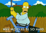 post-731915-0-97413700-1490145891_thumb.gif