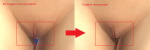 post-781013-0-69489500-1461558629_thumb.png