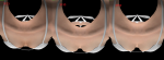 post-781013-0-80947000-1455383400_thumb.png