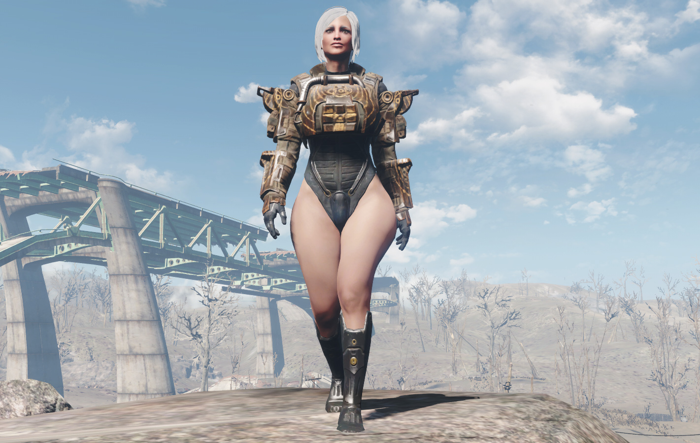 Far Harbor marine wetsuit leotard - Fallout 4 Adult Mods ... from www.lover...