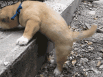 post-925979-0-43878900-1462742096_thumb.gif