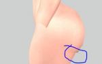 post-936092-0-88677600-1473508714_thumb.jpg