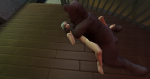 post-961280-0-43447100-1505775492_thumb.png