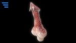 post-991073-0-44990200-1468154291_thumb.jpg