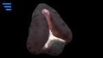 post-991073-0-54143600-1471119939_thumb.jpg